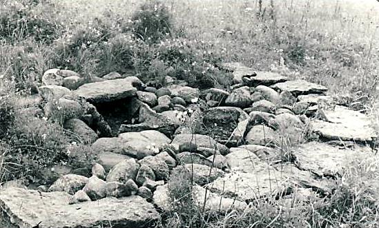File:Võhma kivikirstkalme 1977.jpg
